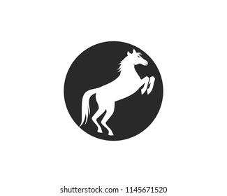 Horse Logo Template Vector illustration design