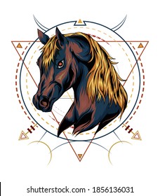 horse logo vector. horse illustration design template.