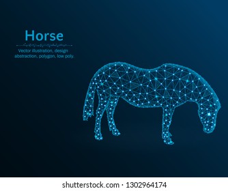 Horse low poly vector illustration, polygonal animal on blue background, abstract vector illustration made from points and lines