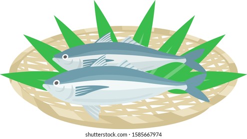 Horse mackerel Illustration.
Illustration of fish.