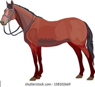horse made in the technique of vector
