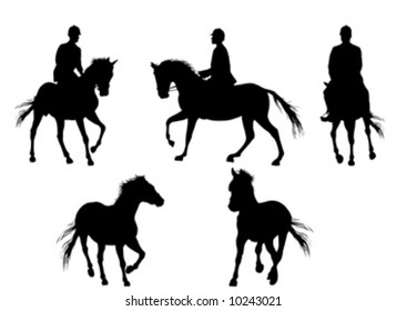 horse and man in white background