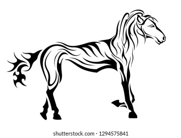 horse mane and hooves