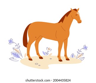 Caballo en la pradera. Ilustración vectorial al estilo de las caricaturas planas. Aislado sobre un fondo blanco.