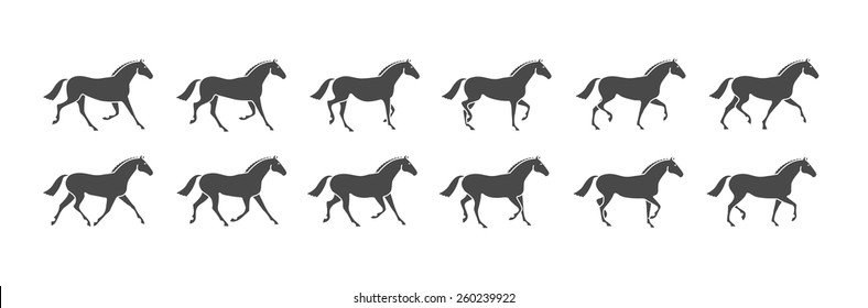 Horse in motion animation