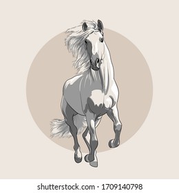 Horse in motion with a mane. Hand drawn vector illustration. Hand sketch. 