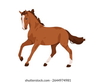 Cheval en mouvement. Graceful American Quarter race, étalon de race pure, équidé, crinière et queue. Beau pur-sang en mouvement, action. Illustration vectorielle à plat isolée sur fond blanc