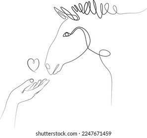 Horse muzzle and female hand, line drawing isolated from background. Friendship between human and animal, trust