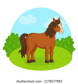 Pferd auf Gras- und Himmelshintergrund