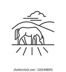 Horse on a farm