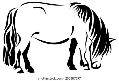 horse on the farm