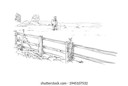 Horse on a fenced meadow. Rural landscape. Farm sketch. Hand drawn vector illustration. 