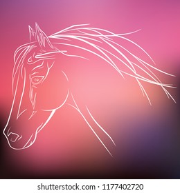 Horse on a gradient background