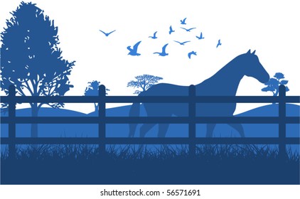 Horse on the grass illustration