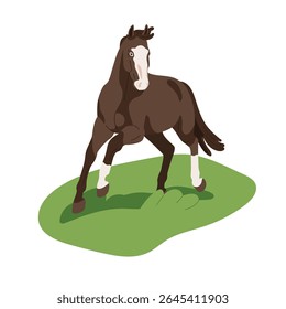 Horse on grass. Thoroughbred in movement, walking on field, pasture. Purebred equine animal, elegant mustang in motion. Country rural stallion. Flat vector illustration isolated on white background
