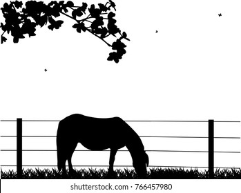 Horse on grassland silhouette, one in the series of similar images