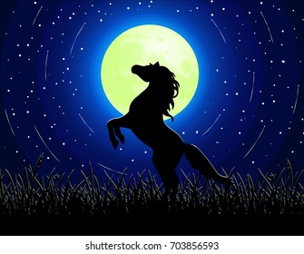 Horse on moonlight. Magic night sky with stars, yellow moon and horse silhouette. Vector illustration