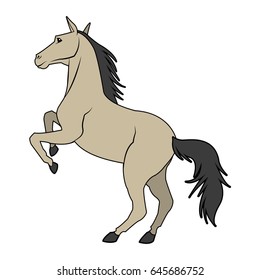 horse on two legs