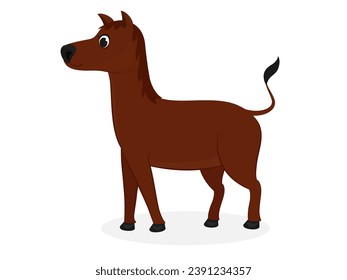 Horse on a white background.