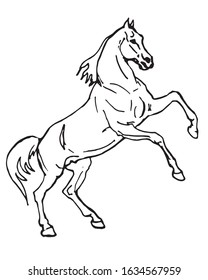 horse, outline drawing, sketch, isolated monochrome image on white background