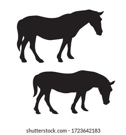 Horse. Pair of horses. Side view, profile. All parts of the horse’s body are visible: legs, ears, head, neck, mane, tail. Stands calmly, without movements. The black silhouette is isolated on a white.