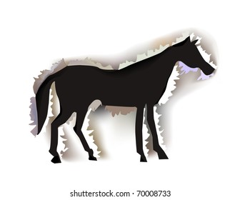 horse "paper collection"