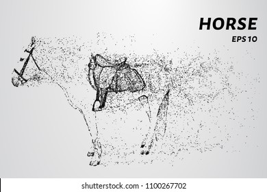 Horse of the particles. A horse consists of dots and circles