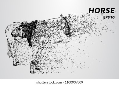 Horse of the particles. A horse consists of dots and circles