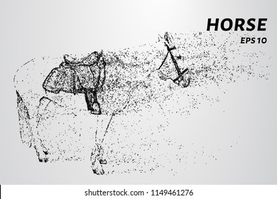 Horse of the particles. A horse consists of dots and circles