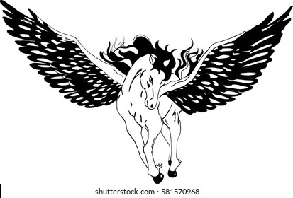 Horse Pegasus vector isolated on white background