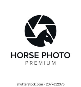 horse photo logo icon vector template