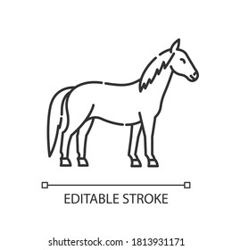 Horse pixel perfect linear icon. Wild stallion, common steed. Equestrian sport, horse breeding thin line customizable illustration. Contour symbol. Vector isolated outline drawing. Editable stroke