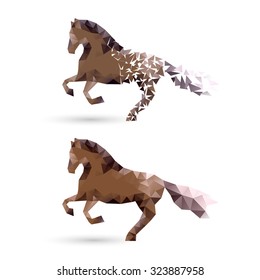 horse of polygons