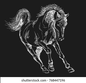 horse \ pony \ running horse \ chalked horse