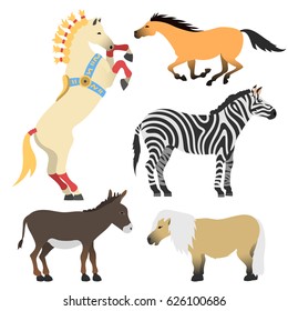 Horse pony stallion isolated different breeds color farm equestrian animal characters vector illustration.