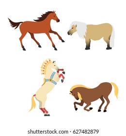 Horse pony stallion isolated different breeds color farm equestrian animal characters vector illustration.