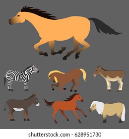 Horse pony stallion isolated different breeds color farm equestrian animal characters vector illustration.