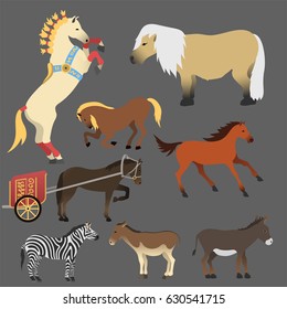 Horse pony stallion isolated different breeds color farm equestrian animal characters vector illustration.