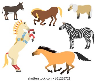 Horse pony stallion isolated different breeds color farm equestrian animal characters vector illustration.