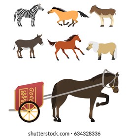 Horse pony stallion isolated. different breeds. color farm equestrian animal characters vector illustration.
