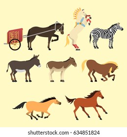 Horse pony stallion isolated different breeds color farm equestrian animal characters vector illustration.