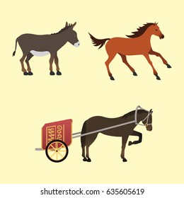 Horse pony stallion isolated different breeds color farm equestrian animal characters vector illustration.