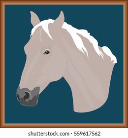Horse portrait