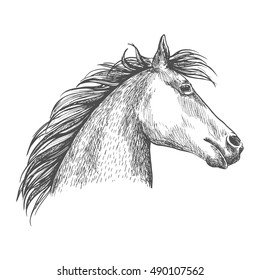 2,288 Horse pencil sketch Stock Vectors, Images & Vector Art | Shutterstock