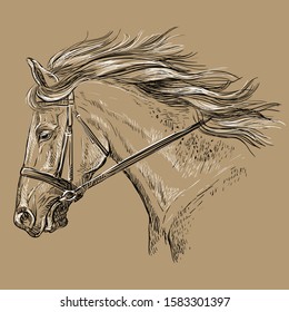 1,894 Horse profile sketch Images, Stock Photos & Vectors | Shutterstock