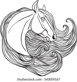 Retrato de caballo. Página para colorear