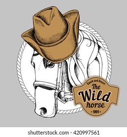 Horse portrait in a cowboy hat. Vector illustration.