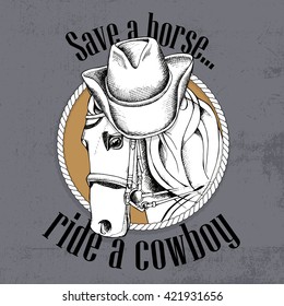 Horse portrait in a cowboy hat. Vector illustration.