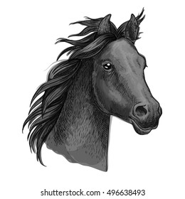 585 Old black horse profile Images, Stock Photos & Vectors | Shutterstock