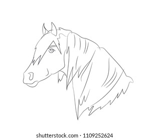 horse portrait, lines, vector, white background